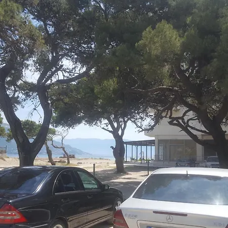 Sea View فلورا